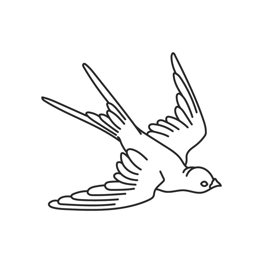 Tattoo adventurous bird - Afbeelding 3